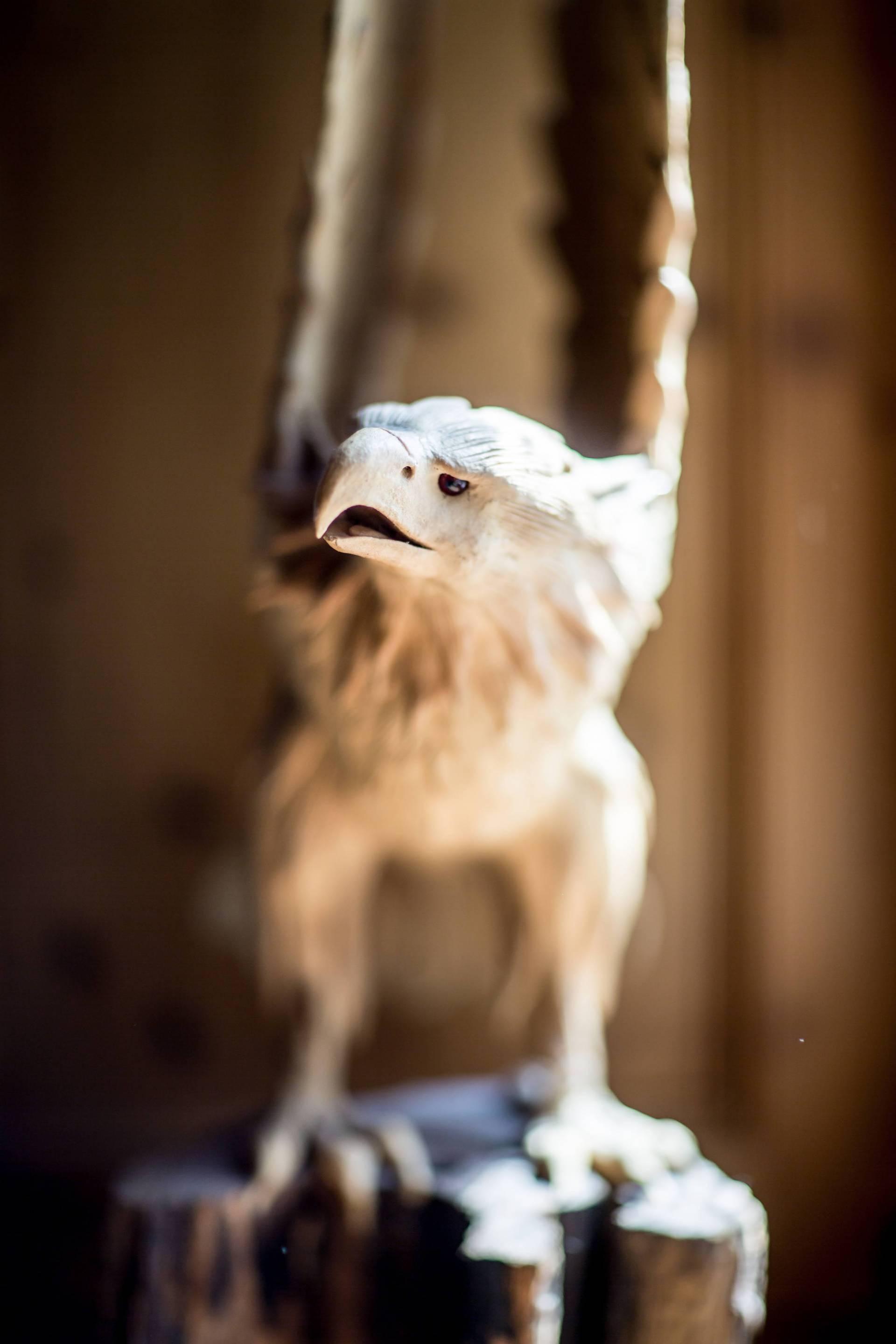 Aus Holz geschnitzter Adler