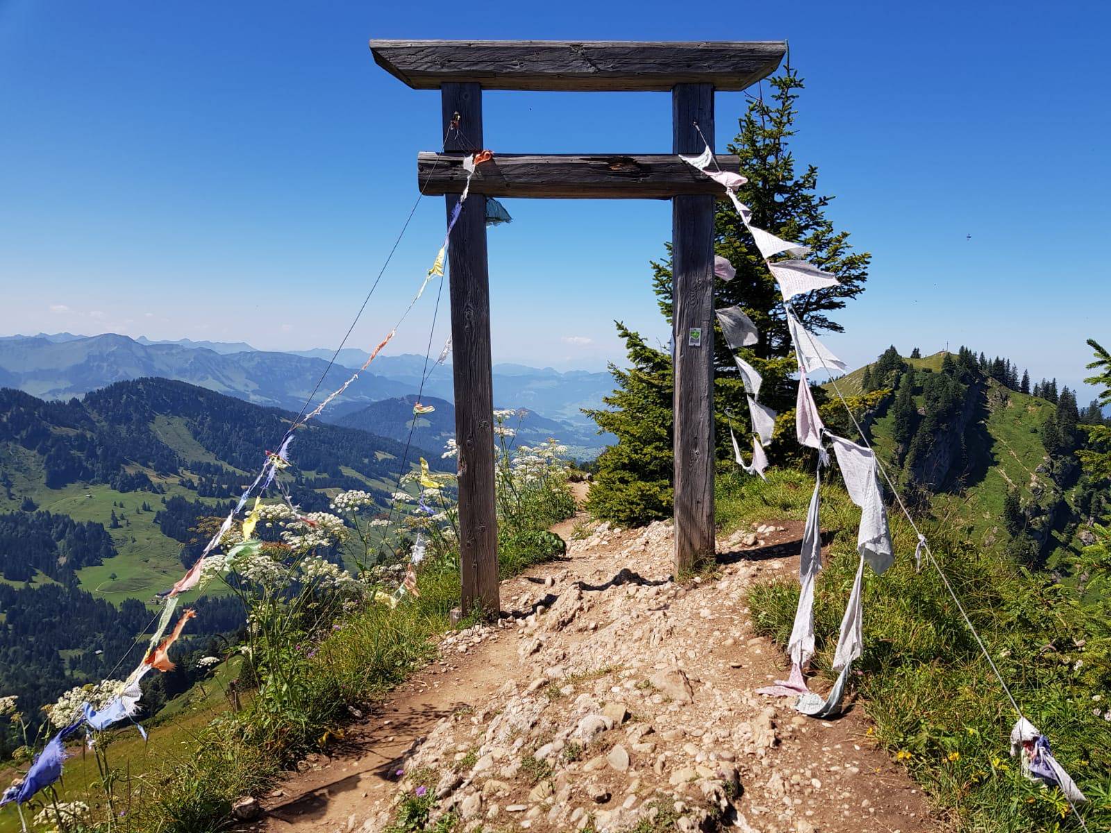 Gipfel am Hochgrat mit Panoramablick