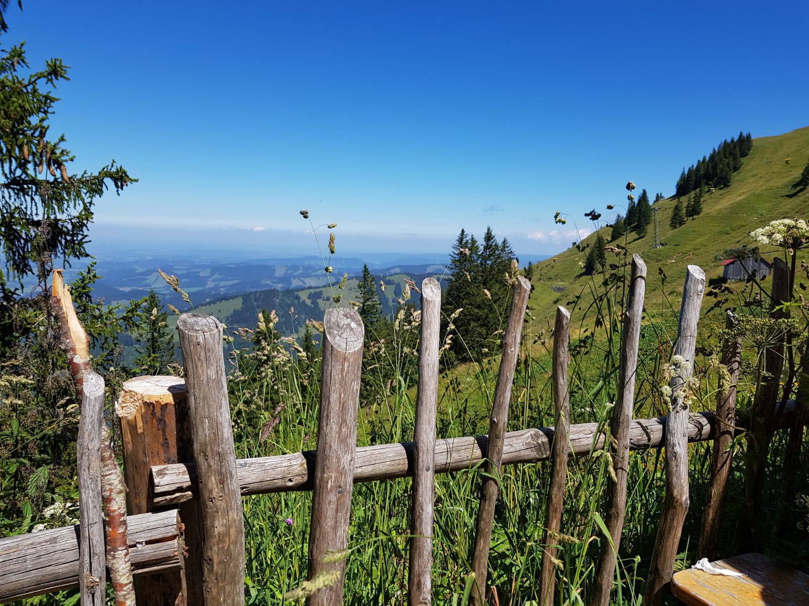 Holzgatter mit Blick auf das Tal vom Hochgrat