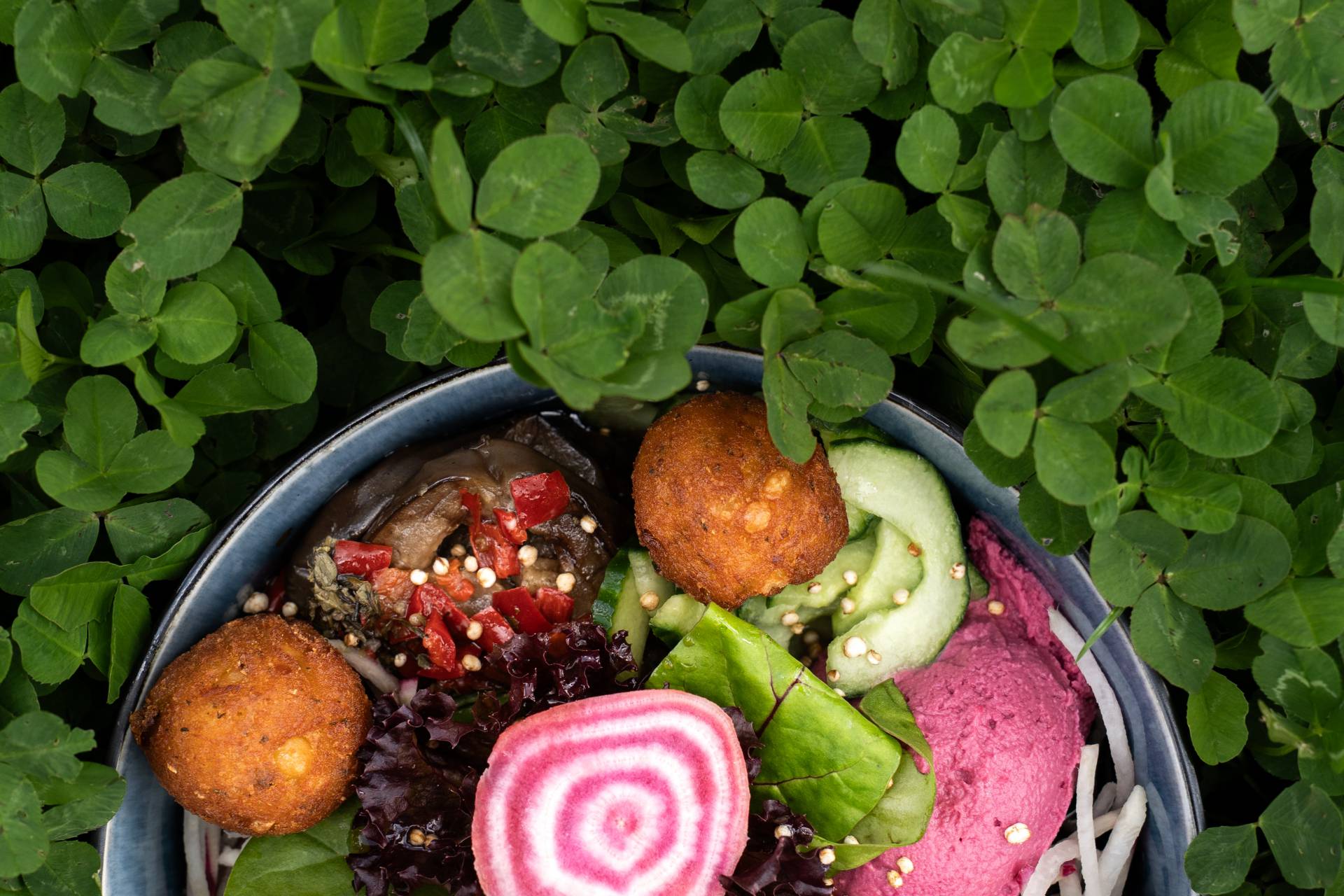 Vegane Bowl im Restaurant Oberstaufen