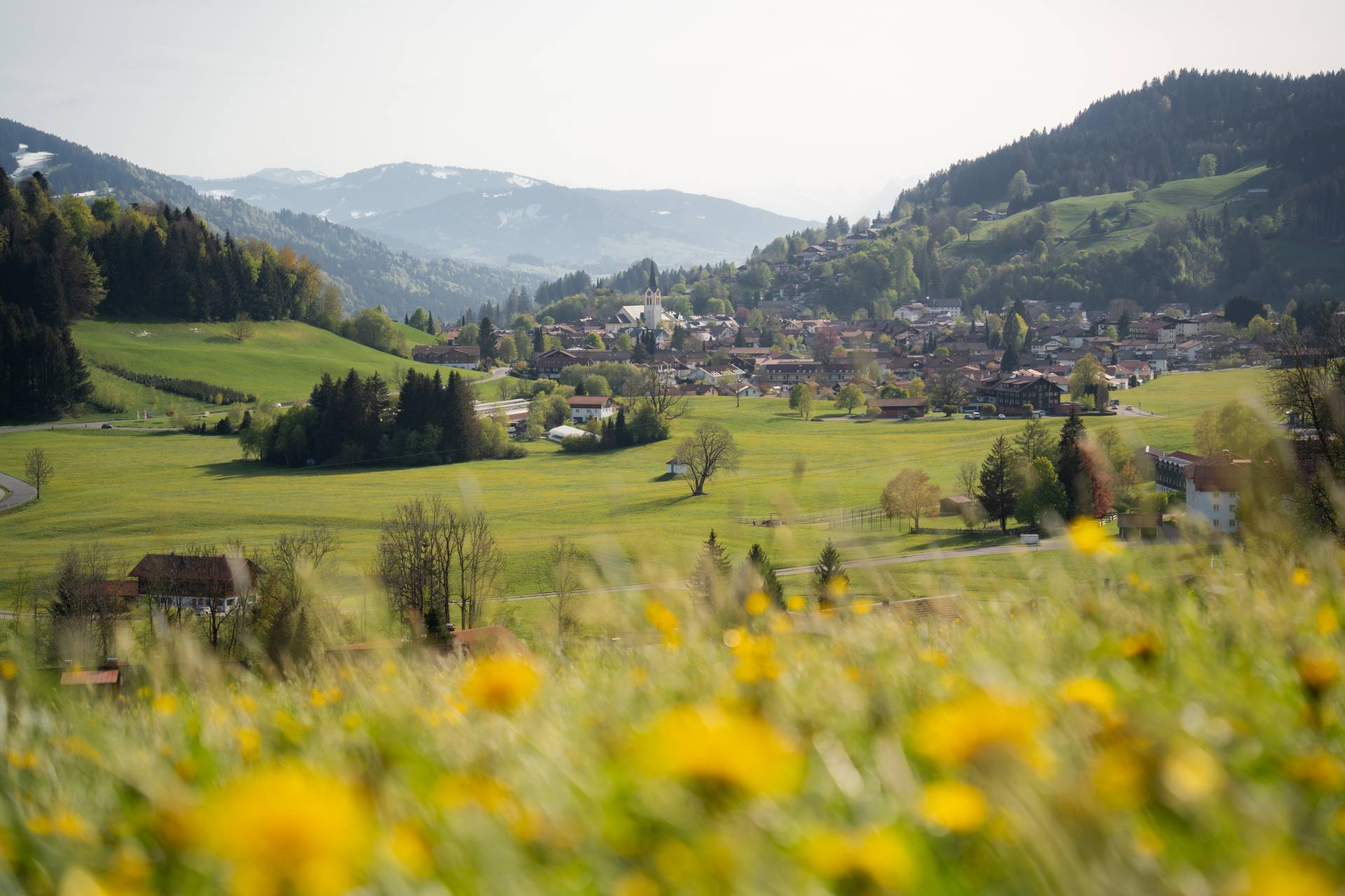 Oberstaufen im Frühling