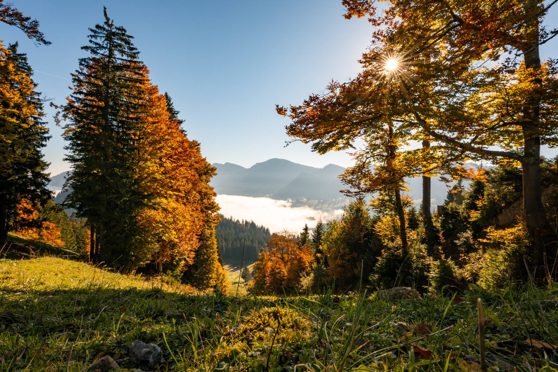 Herbsturlaub im Allgäu