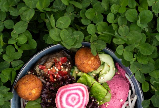 Staufner Küche: Kulinarische Wochen "Wald & Wiese"