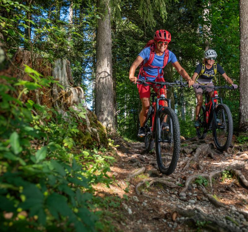 Mountainbike Tour Oberstaufen