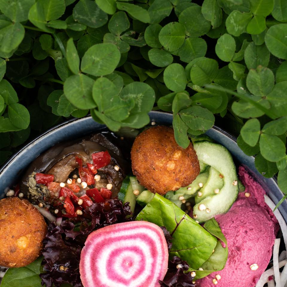 Vegane Bowl im Restaurant Oberstaufen