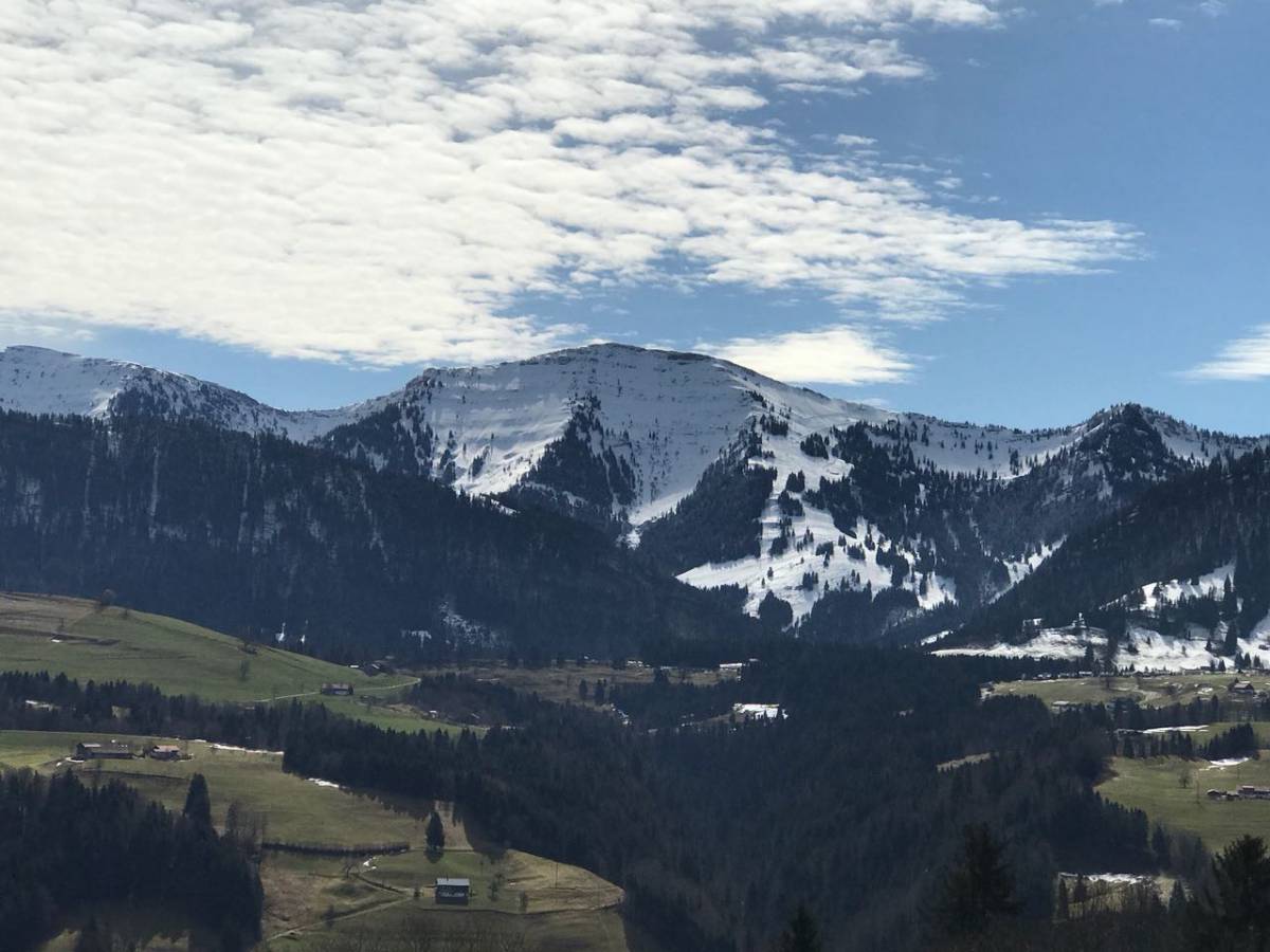 Panoramablick über die Allgäuer Alpen