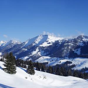 Blick auf die Allgäuer Alpen im Winter