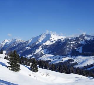 Blick auf die Allgäuer Alpen im Winter