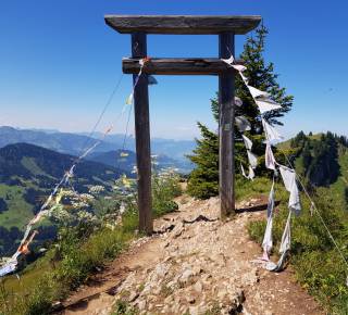 Gipfel am Hochgrat mit Panoramablick
