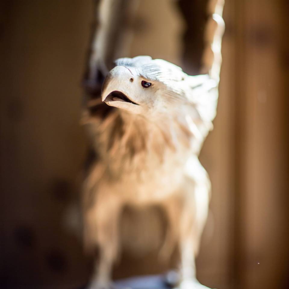 Aus Holz geschnitzter Adler